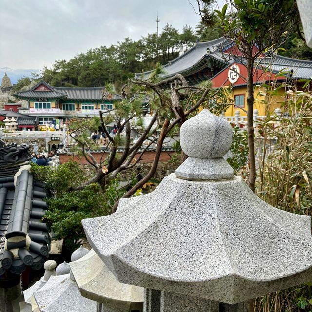【韓国釜山・機張】釜山のパワースポット！願いを叶えたいなら「해동용궁사（海東龍宮寺）」