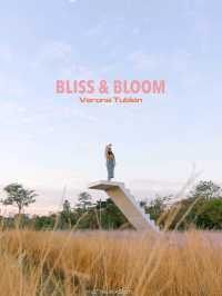 Bliss & Bloom Cafe ทับลาน