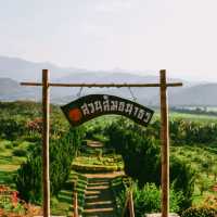 ที่เที่ยวท่าตอน แม่อาย เชียงใหม่