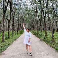 Rebalancing life at Chestnut Hill Eco Resort