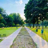 Terraced Garden