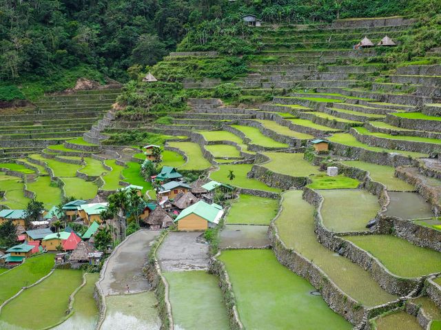 Discoverint Batad’s Ancient Rice Terraces