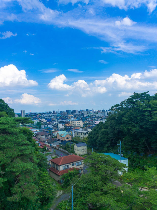 Hachimanyama Park Adventure Bridge 