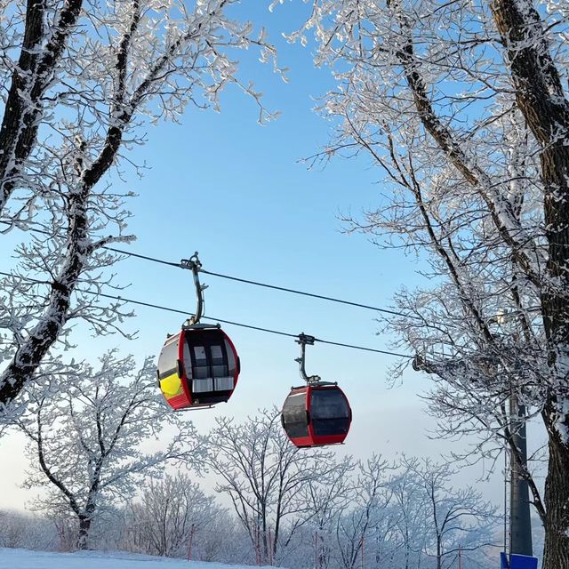 北大湖滑雪場~滿足心緒
