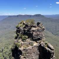 【シドニー観光】必ず抑えたいスポット「ブルーマウンテンズ」🇦🇺