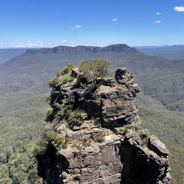 【シドニー観光】必ず抑えたいスポット「ブルーマウンテンズ」🇦🇺 【シドニー観光】必ず抑えたいスポット「ブルーマウンテンズ」🇦🇺