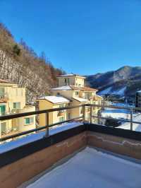 눈뜨면 설경을 볼 수 있는 태백 호텔❄️