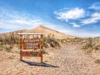 Day trip to Singing Dune and Camel’s Milk?!