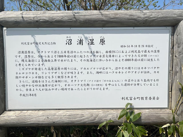 Otatomari Swamp 