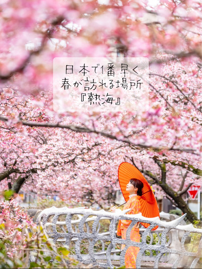 日本で1番最初に咲く桜?熱海桜】 | Trip.com 熱海