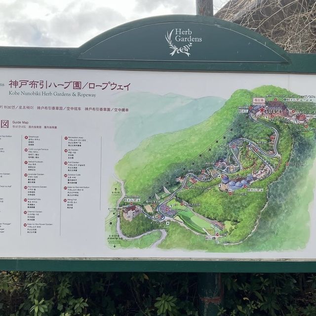 【兵庫観光】神戸ハーブ園