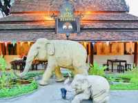 The Pattaya Elephant Village