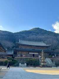 아름다운 봄꽃을 보면서 고즈넉함을 느끼고 싶을 땐 이곳으로💛