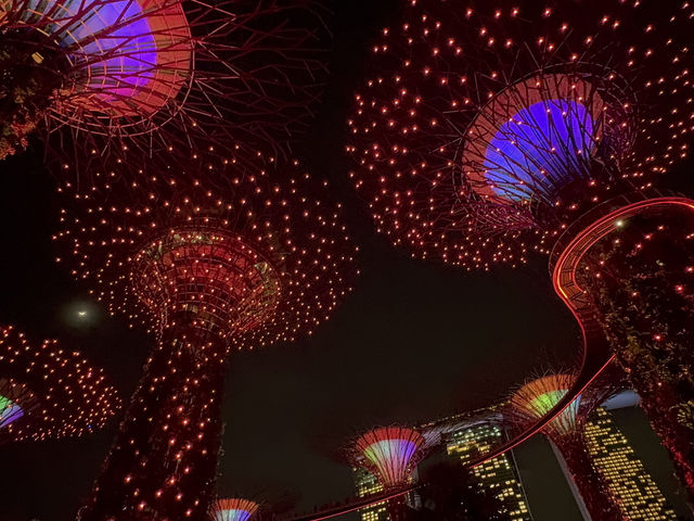 Gardens by the Bay สวนต้นไม้ แห่ง สิงคโปร์ 