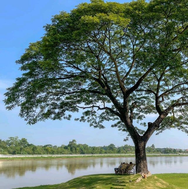 เลอเมอ  