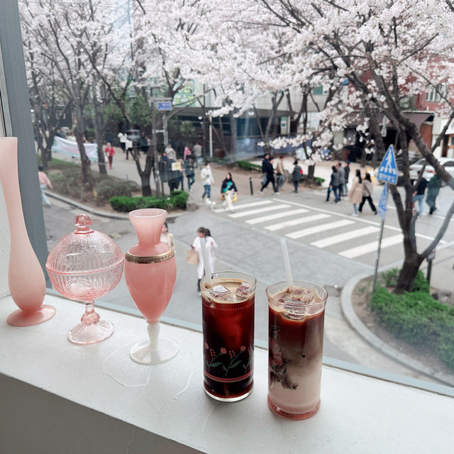 서울 실시간 만개한 벚꽃뷰 맛집 카페 #디어모먼트