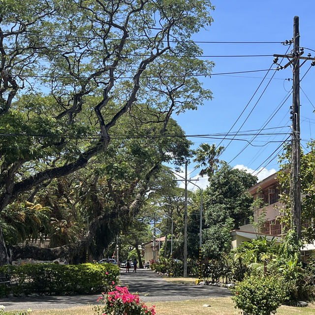 杜馬蓋地🇵🇭市區遊