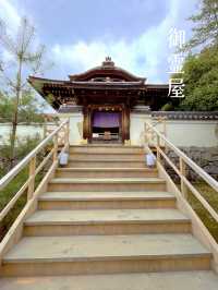 必見の雅な枝垂れ桜🌸ねねのお寺を満喫しよう🥰🌸