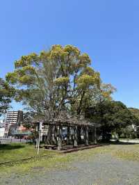 【門司】門司の広々としたお散歩できる公園