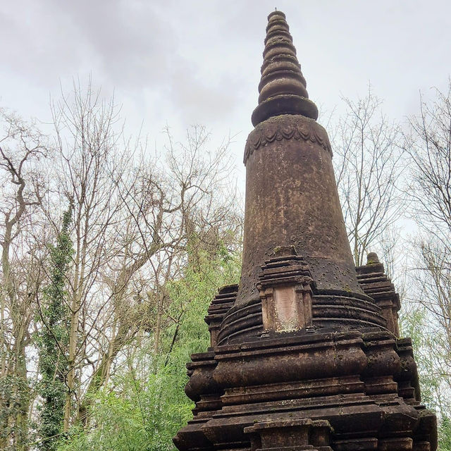 Exploring the SEA of Bois de Vincennes