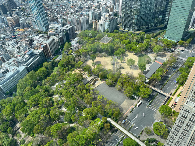 【都庁の隣の癒し公園★】新宿中央公園