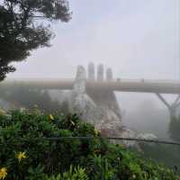 Foggy Adventures at Golden Bridge