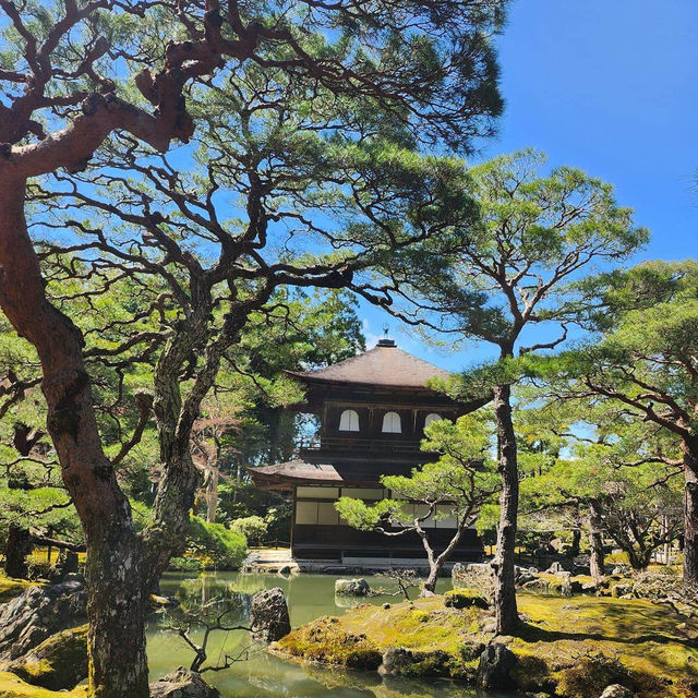 如詩如畫的京都銀閣寺🕍