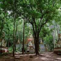 แพริมน้ำกาญจนบุรี