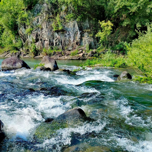咖啡山森林保護公園：原生態環境、豐富生物、戶外活動，親近大自然