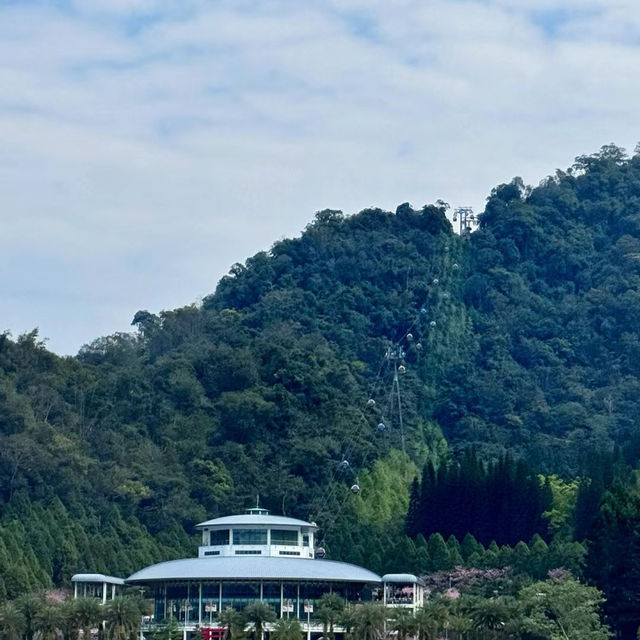 「臺北竹子湖：山水間的寧靜與美好，讓你忘卻城市喧囂」