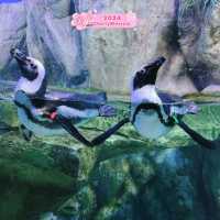 Sea Life Busan Aquarium in Korea 