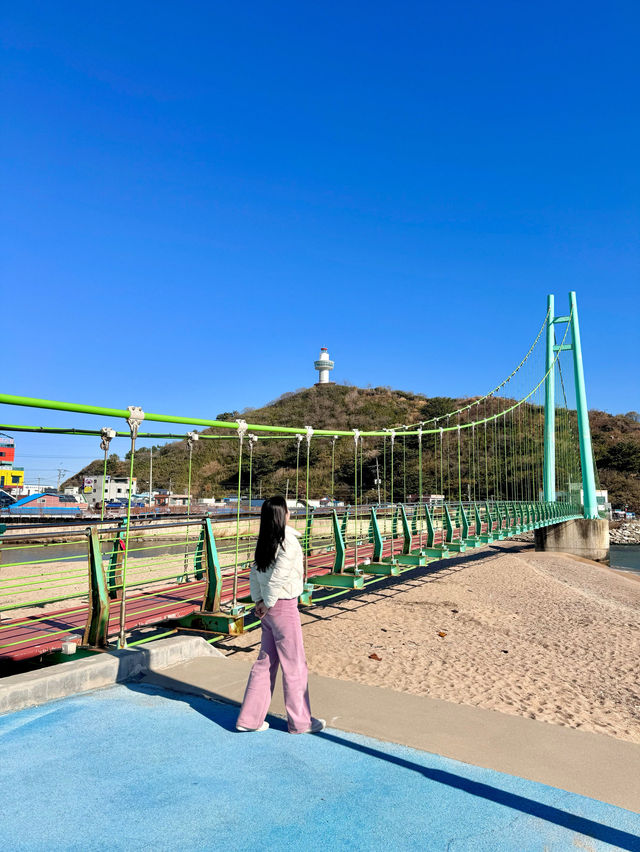 영덕으로 떠나야하는 이유 🩵