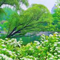 澳門三角花園：絕美自然王國