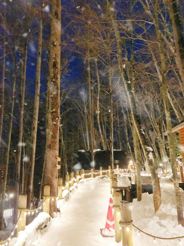 北海道富良野·冬天童話世界森林精靈露台🧚🏻