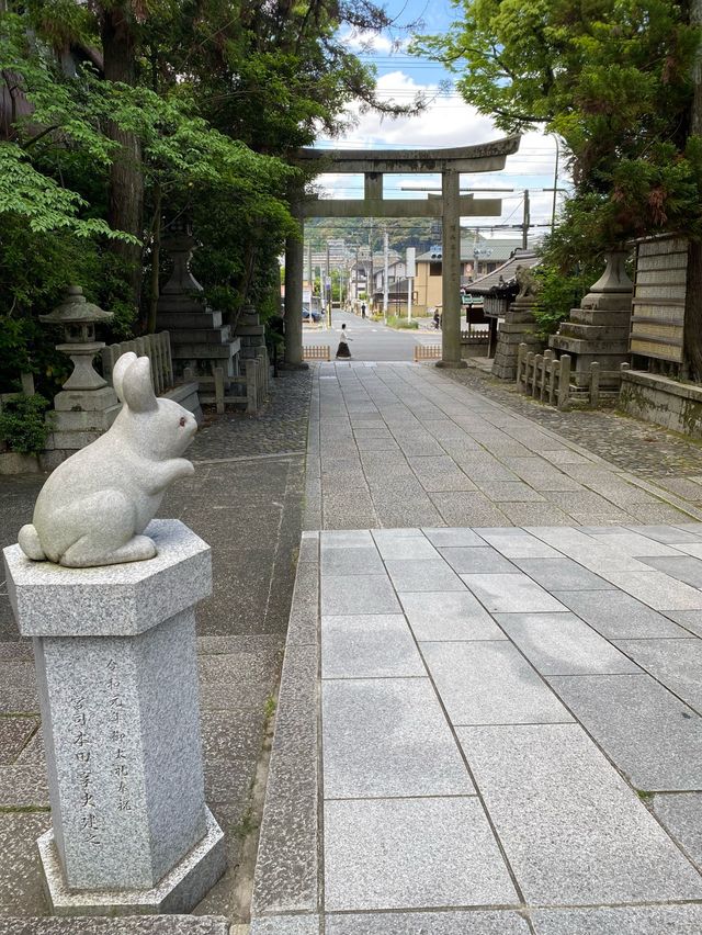 【京都】うさぎが可愛い神社