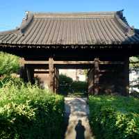 知多四国霊場！「観福寺」