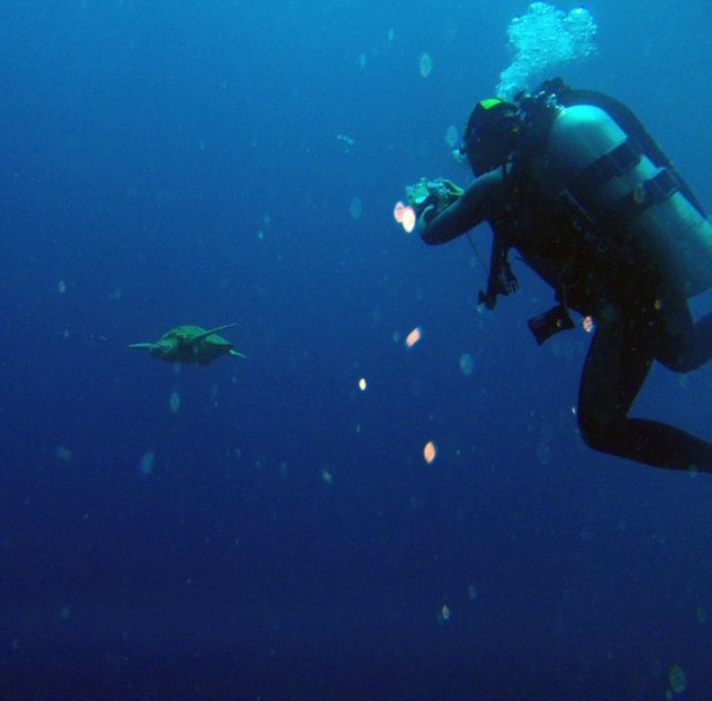 Sipadan, Diver’s Paradise