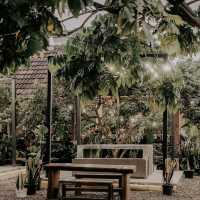 📌 PERIHALKOPI A VERY COOL PLACE TO RELAX