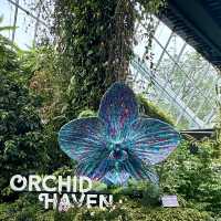 【必看景點】新加坡濱海灣花園：雲霧森林、花穹、擎天樹空中步道