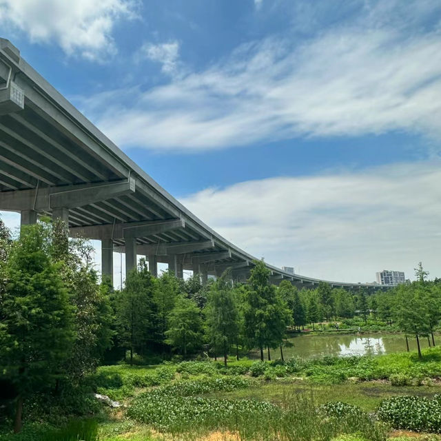 ```東湖公園～適合放鬆的綠色勝地```