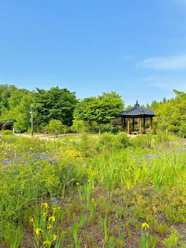 초여름날 밖에서 산책하기 좋은 서울 푸른수목원💚