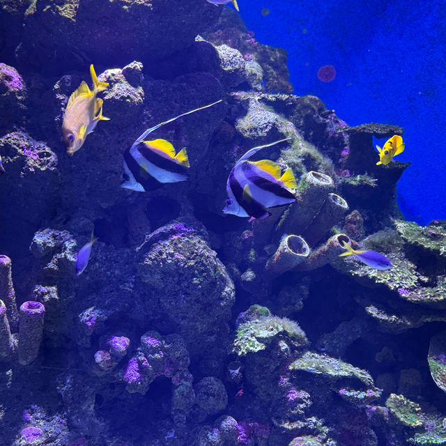 Aquarium Twilight Experience-Small Group Tour