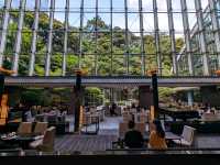 日本東京-來雅敘園悠閒的喝下午茶：Pandora Coffee
