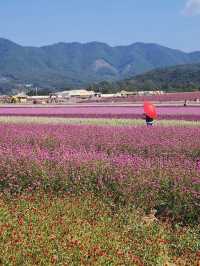 Goseokjeong Flower Garden 