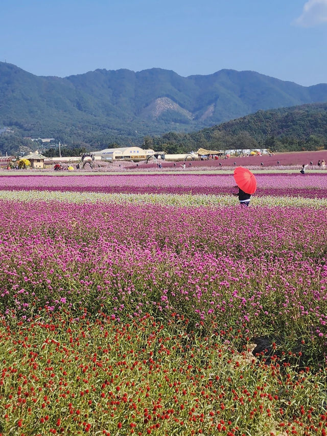 Goseokjeong Flower Garden 