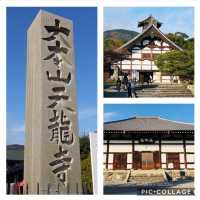 【京都観光】世界文化遺産である天龍寺