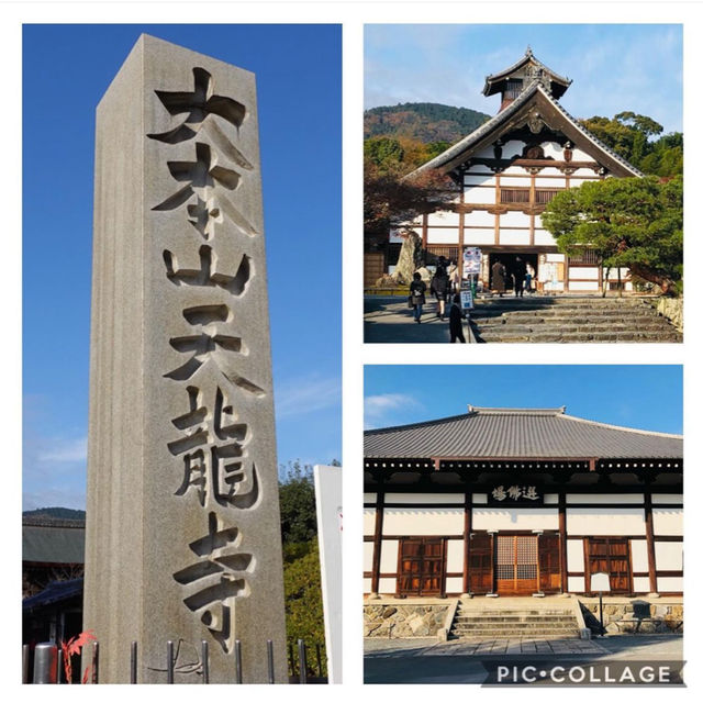 【京都観光】世界文化遺産である天龍寺