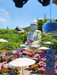 ꕤ大和三大観音 あぢさゐ回廊 × 壷阪寺ꕤ୭*