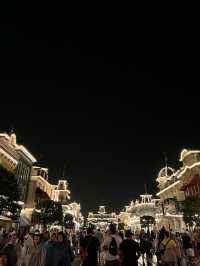 Disney world Magic Kingdom park