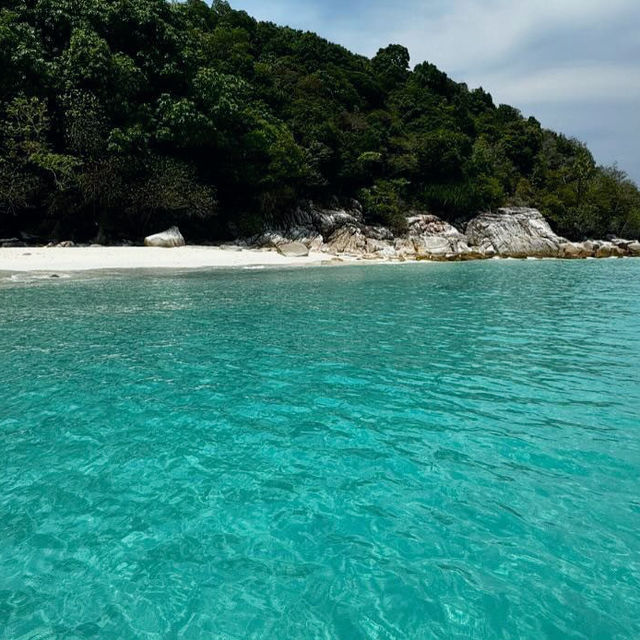 Diving adventure: Redang Island, Trengganu 🇲🇾